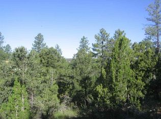 3634 Red Wing Loop, Overgaard, AZ 85933