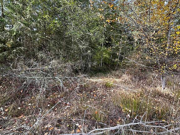 3rd image of Nka E Emerald Forest Ln
