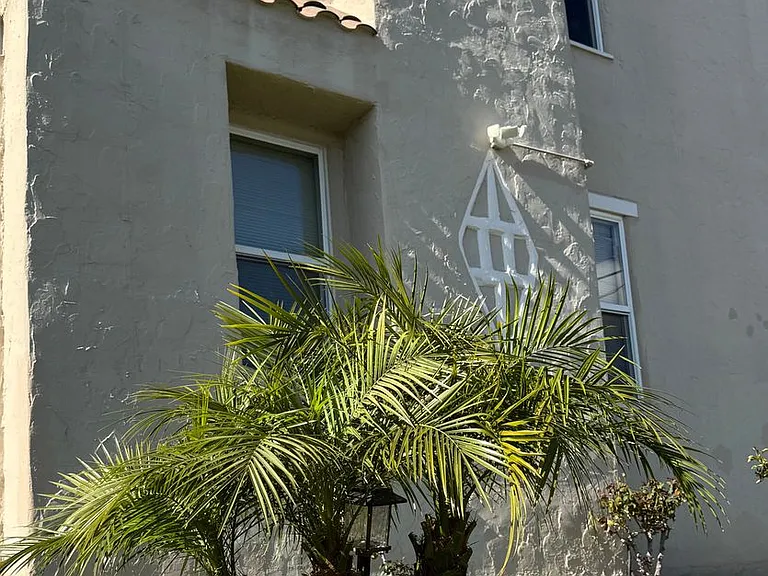 The Palms on Seminary — Photo 19