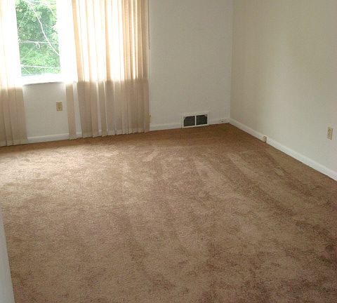 4th image of 245 Frankfort Ave Floor 1