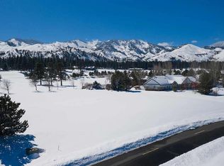 2 Black Horse Ct, Washoe Valley, NV 89704