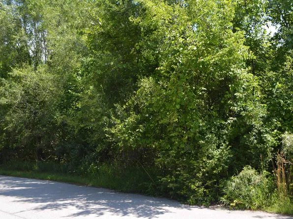 V/l E Maple Rd, Clare, MI 48617