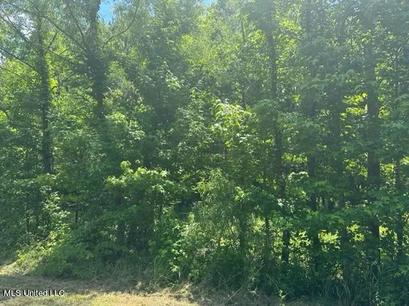 Rolling Oaks Ln Lot 23, Senatobia, MS 38668