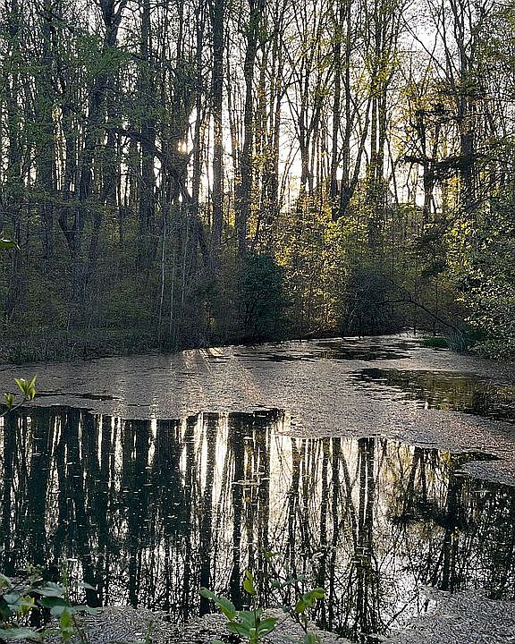 2.4 acres mtn woods w/ pond