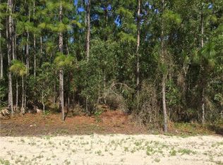 8179 Mackinaw Rd, Weeki Wachee, FL 34613