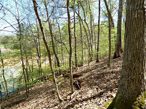3rd image of 9 Clark Ln Lot 9