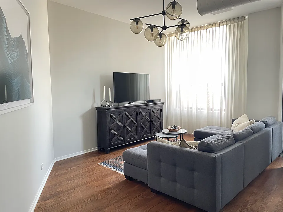 910 S Michigan Ave #1110