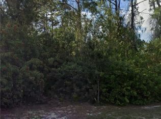 3002 Paula Ave S, Lehigh Acres, FL 33976