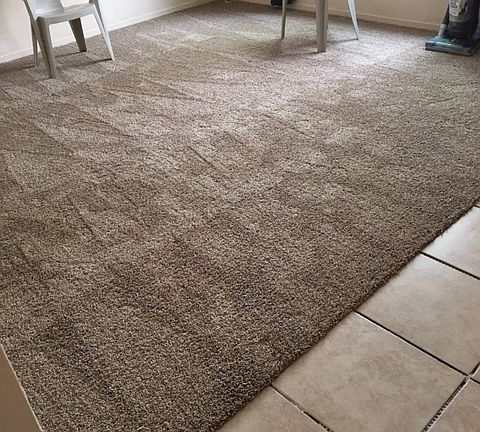 New Carpet/Tile in Living rm