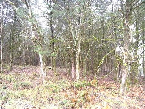 5th image of 390 Trace Ln