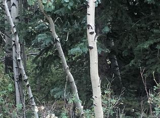 1001 Michigan Hill Rd, Jefferson, CO 80456