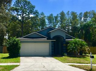 11143 Indian Oaks Dr, Tampa, FL 33625