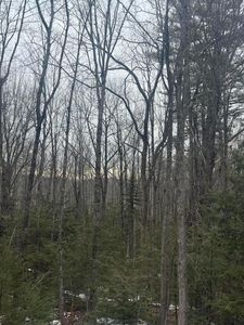 Lot 31 Weeman Road, West Baldwin, ME, 04091