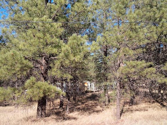 5th image of 3527 E Pine Cone Dr