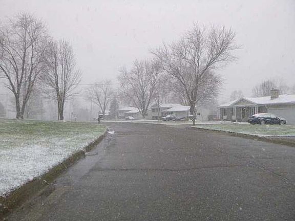 4th image of 10053 Shadybrook Ln