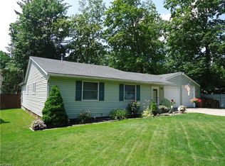 166 Demi Dune Dr, Chippewa Lake, OH 44215