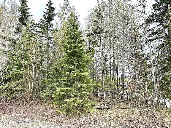 5th image of 105 S Soldotna Ave