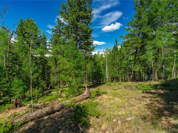 431 Cottonwood Lake Drive, Divide, CO 80814