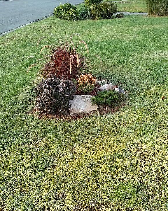 Front yard updates