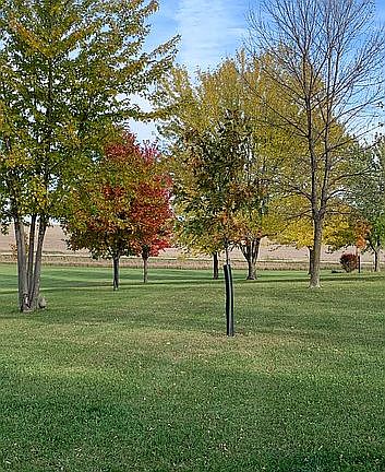 4th image of 14889 Voyager Rd