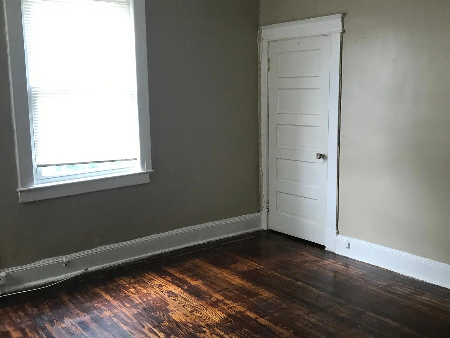 1 bed, 800 sqft, $875 — Photo 3