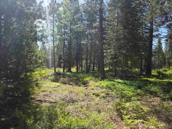 LOT 63 Old Mill Rd, McCloud, CA 96057