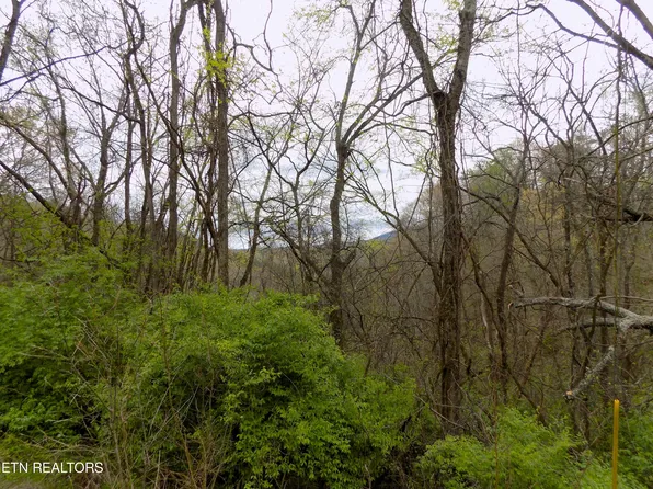 Par 67.14 Alpha Rd, Newport, TN 37821