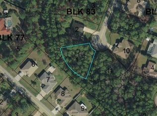 6 Ramsey Pl, Palm Coast, FL 32164