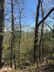 0 Goose Creek Valley Rd, Montvale, VA, 24122