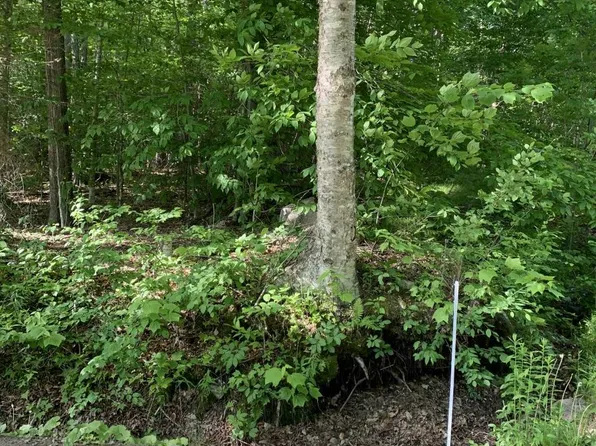 0 Stinson Lake Road #14&15, Ellsworth, NH 03223