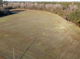 Horse Branch Rd, Turbeville, SC 29162