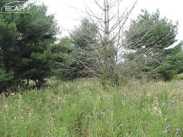 0 Lake George Rd photo 1