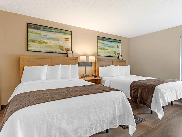 Studio Suite - 2 Queen Beds