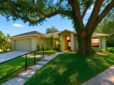 608 Chautauqua Dr, Mount Dora, FL, 32757