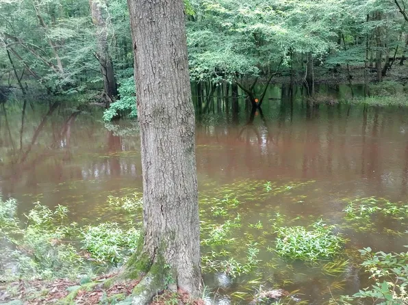 474 Shots Trl, Branchville, SC 29432