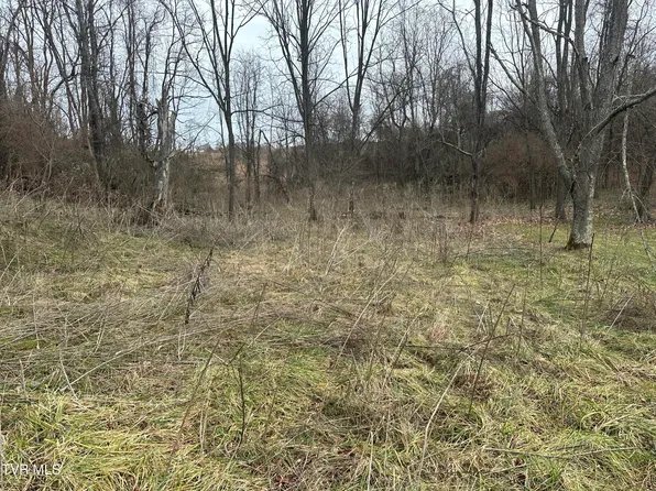 21509 Clear Creek Rd, Bristol, VA 24202