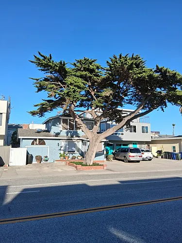 1116 Ocean Dr Photo 1