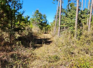 18193 NW Ponderosa Trl, Bristol, FL 32321