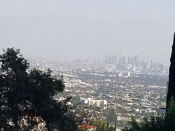 5th image of 8637 Hollywood Blvd
