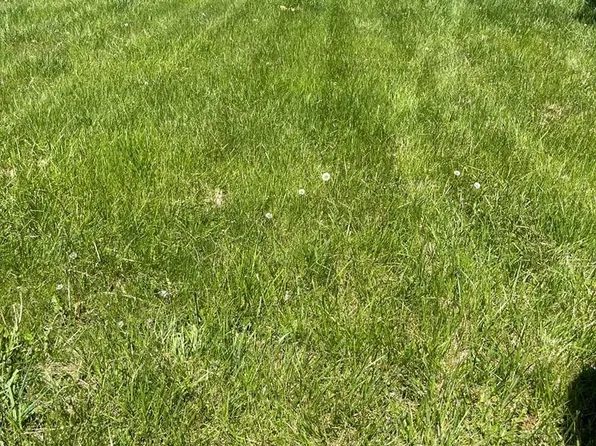 4431 E Cumberland Rd, Bluefield, WV 24701