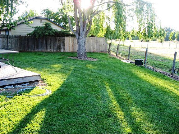 6/2011 - Back yard
