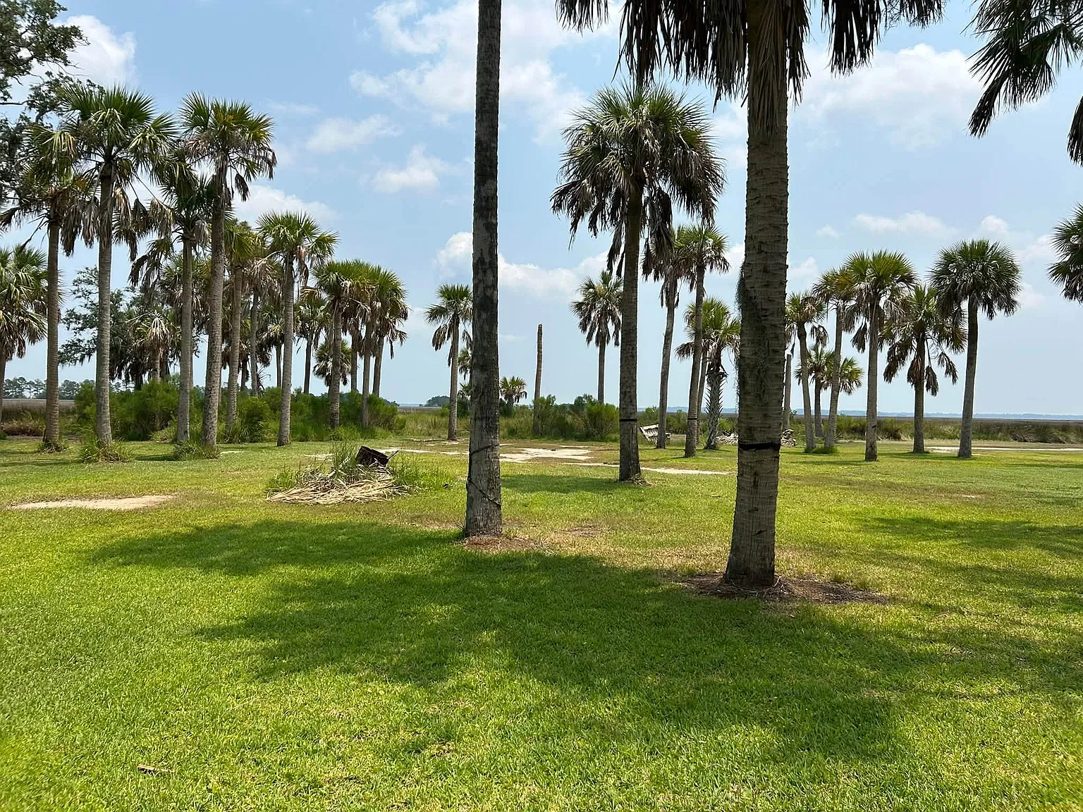 4 bed, 1820 sqft, $2,500 — Photo 4