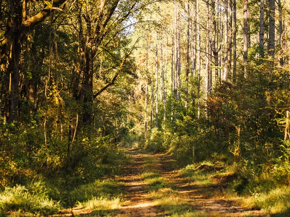 State Highway 4, Holly Springs, MS 38635