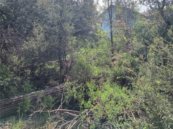 53309 Road 432 Lot 66, Bass Lake, CA 93604