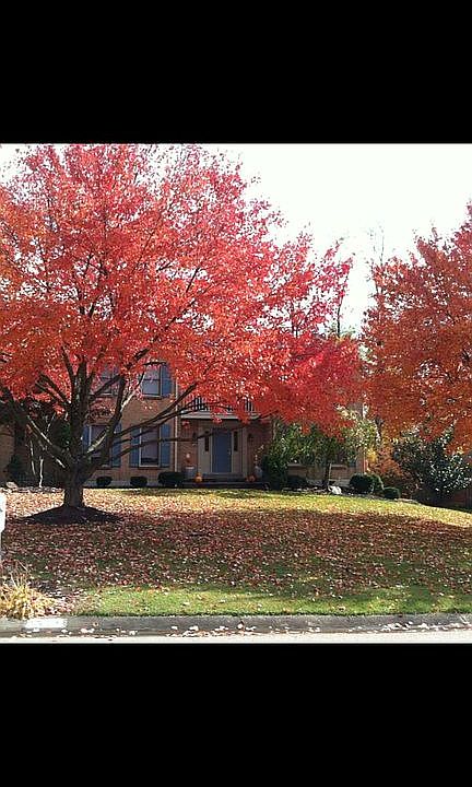 1st image of 1542 Vancross Ct