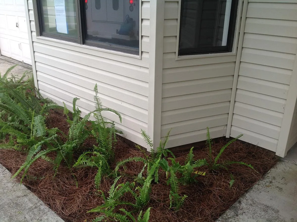 3 bed, 1130 sqft, $1,760 — Photo 2