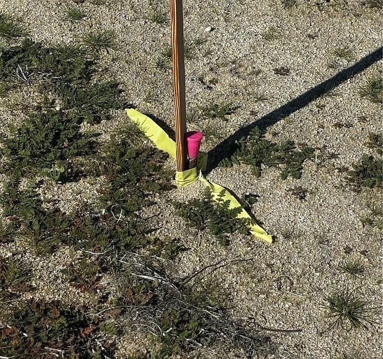 1st image of 0 Vic Ave N #R6-225