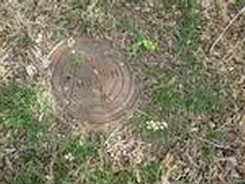 Photo of Mobile Home Lot