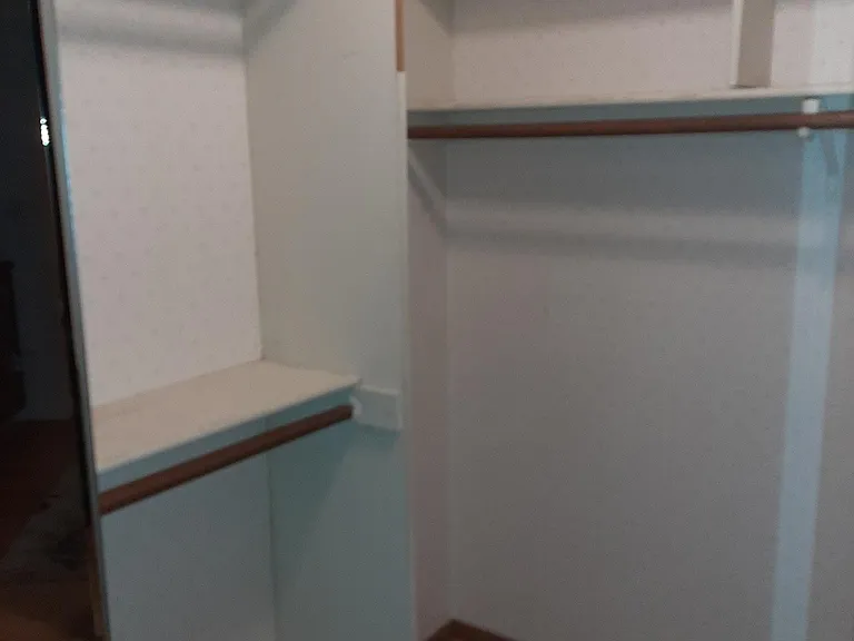 Walk in closet (with wall paper)