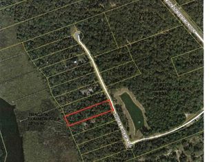73 Bridle Ridge Ct, Flagler Beach, FL 32136
